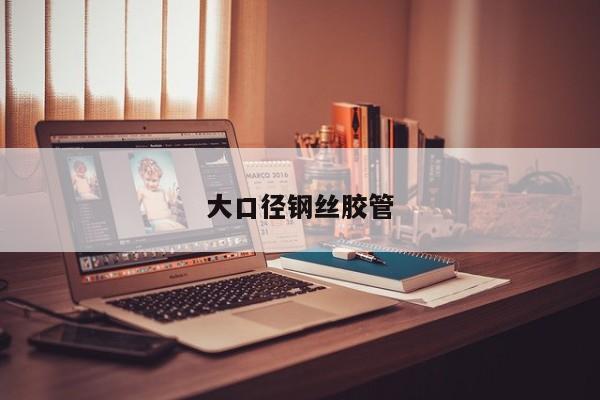 大口径钢丝胶管