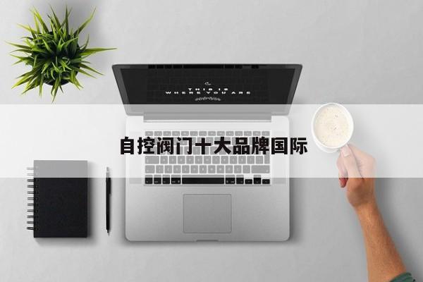 自控阀门十大品牌国际