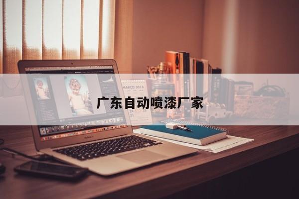 广东自动喷漆厂家