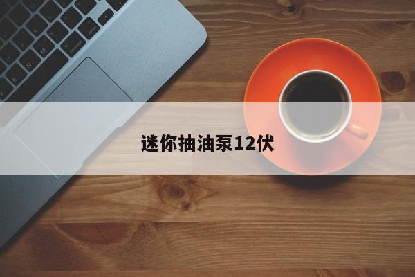 迷你抽油泵12伏