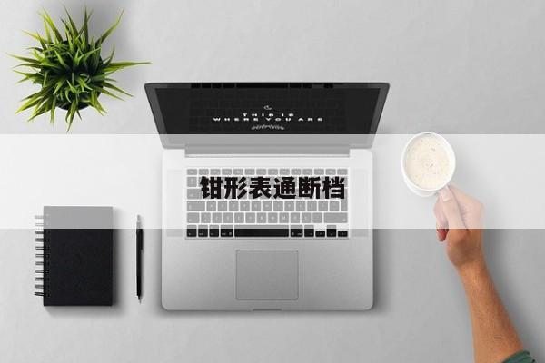 钳形表通断档