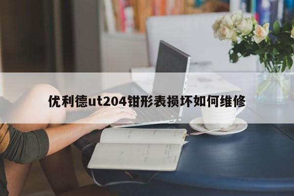 优利德ut204钳形表损坏如何维修