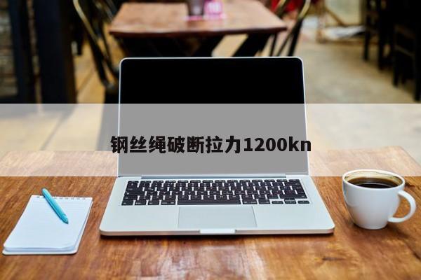 钢丝绳破断拉力1200kn