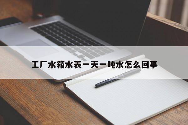 工厂水箱水表一天一吨水怎么回事