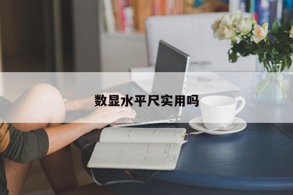 数显水平尺实用吗