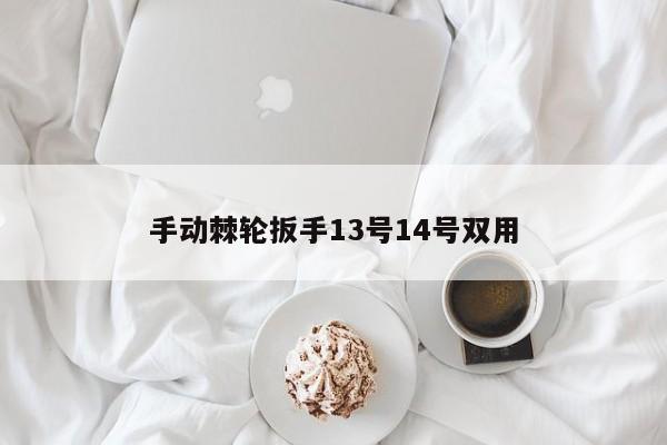 手动棘轮扳手13号14号双用