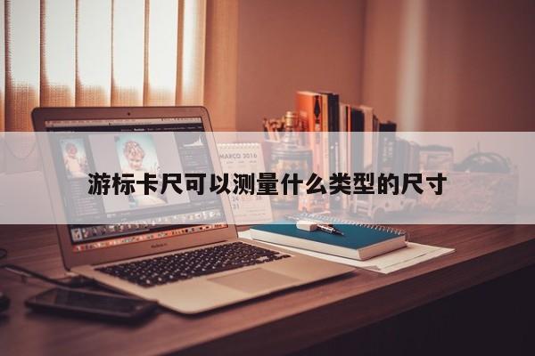 游标卡尺可以测量什么类型的尺寸