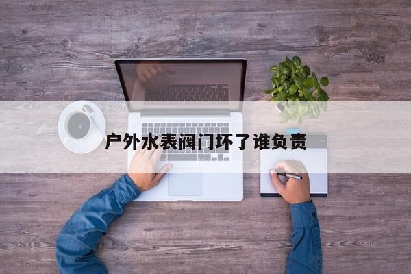 户外水表阀门坏了谁负责