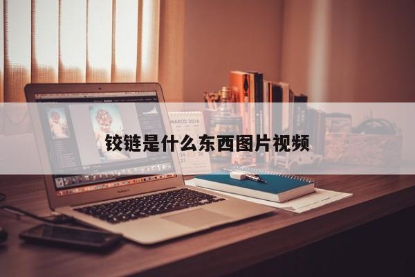 铰链是什么东西图片视频