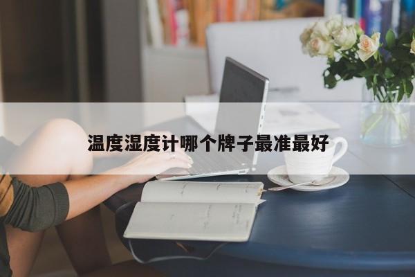 温度湿度计哪个牌子最准更好