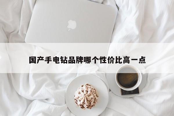 国产手电钻品牌哪个性价比高一点